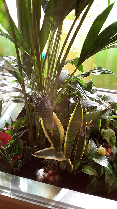 Детский сад «Изюминка», г. Санкт-Петербург