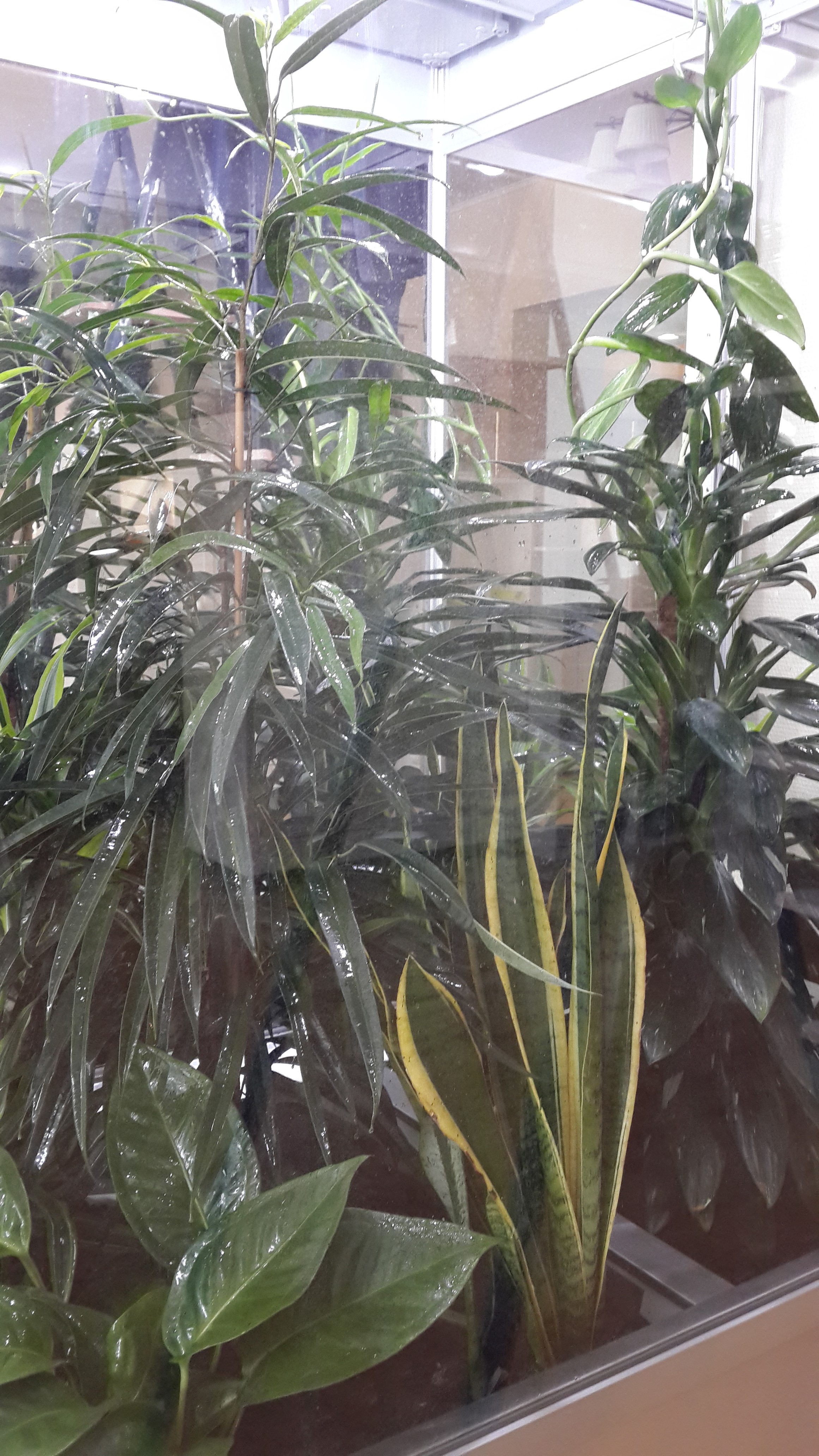 Транспортная компания «Смарт Логистик», г. Санкт-Петербург