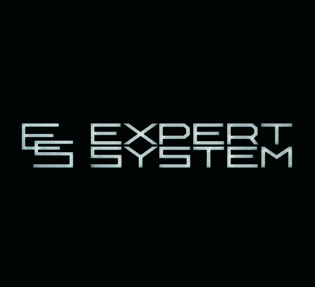   ʻ  Expert System        