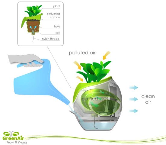 Экогаджет: цветочный горшок для очистки воздуха