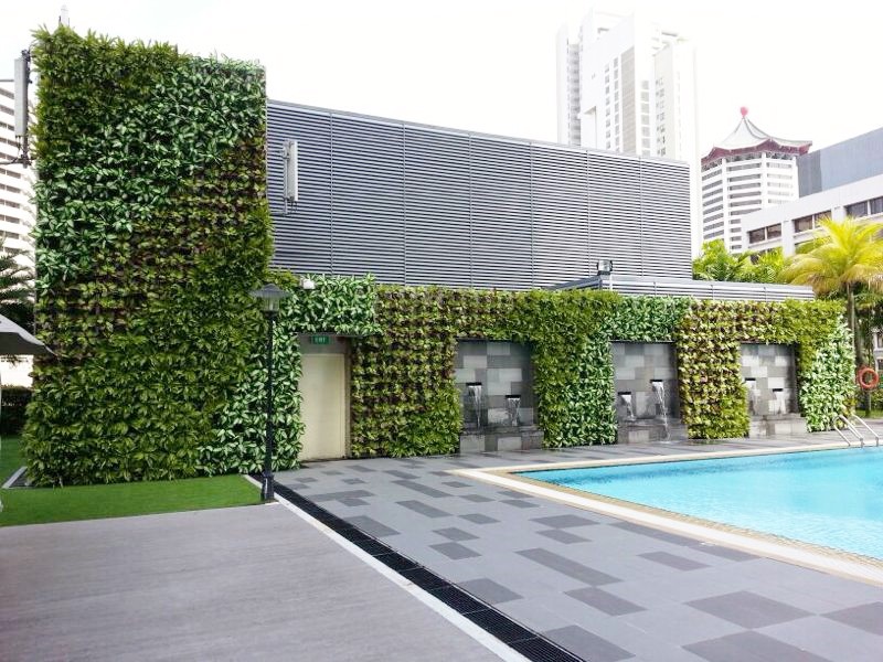 Зеленая стена для очистки воздуха