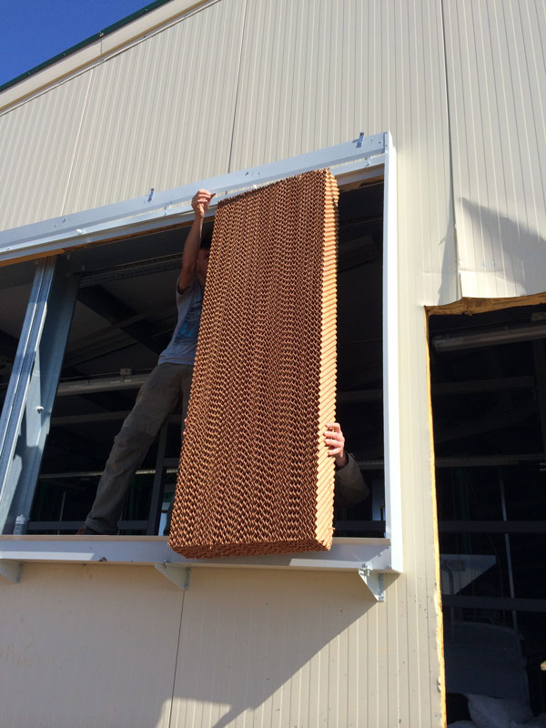 Компания приступила к монтажу системы микроклимата для предприятия «Российский кроликъ»