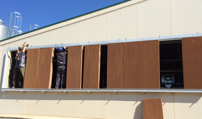 Компания приступила к монтажу системы микроклимата для предприятия «Российский кроликъ»