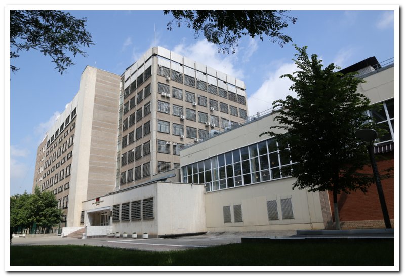 Компания организовала проведение социальной акции