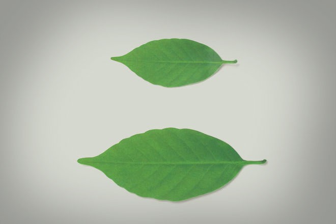 Осенний термометр