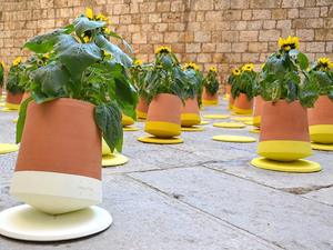 Комфорт от DAIKIN