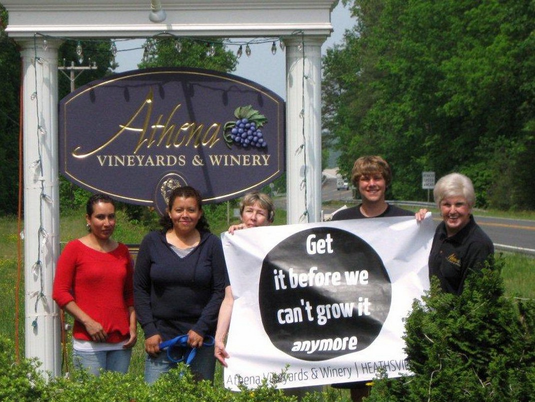 Глобальное потепление перекраивает винную карту мира