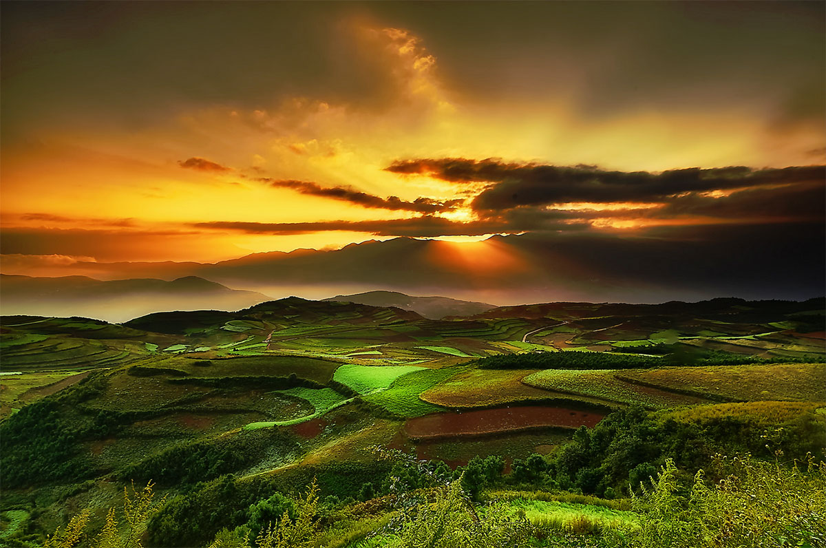 Вырабатывающий электричество газон