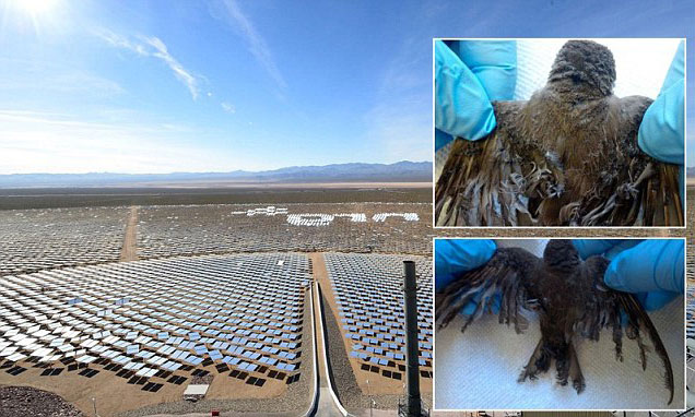 гелиотермальной электоростанции Ivanpah Solar Electric Generating System