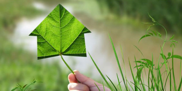 Зеленый рынок. Немецкий или греческий путь?