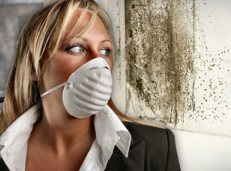 Портал климатической техники TopClimat.ru