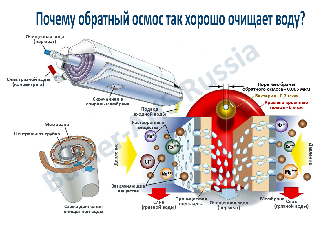 Buhler-AHS переходит на сухие мембраны