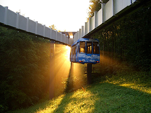 Mitsubishi построит надземную транспортную систему в Подмосковье