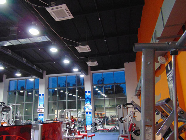 Оборудование MDV в лучшем фитнес-клубе всемирной сети WorldGym