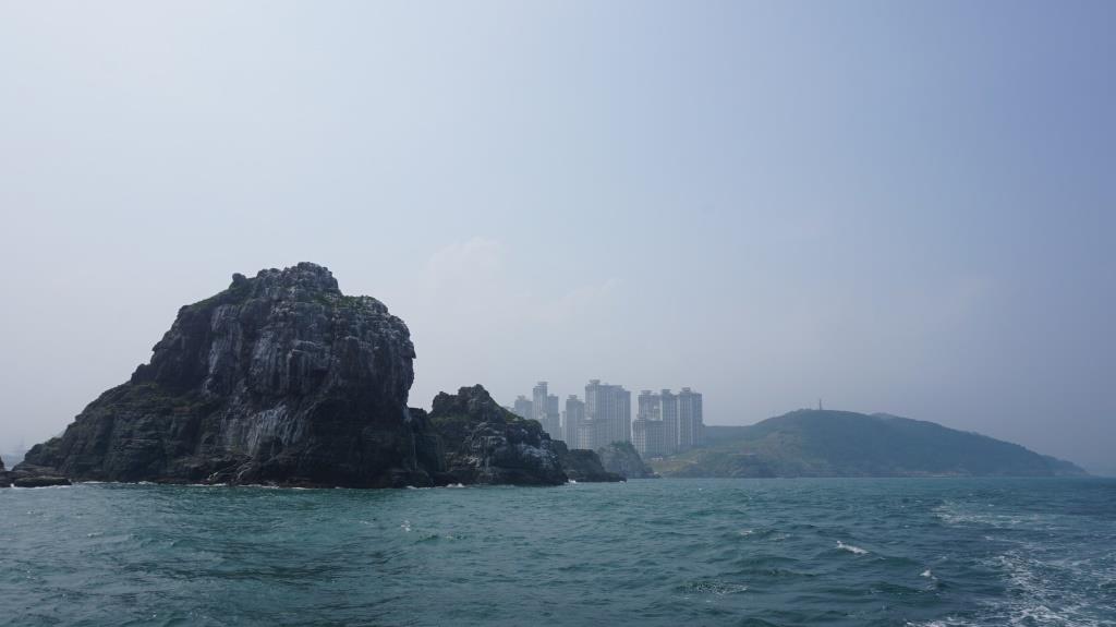 В рамках партнерской программы компании делегация российских предпринимателей посетила Южную Корею