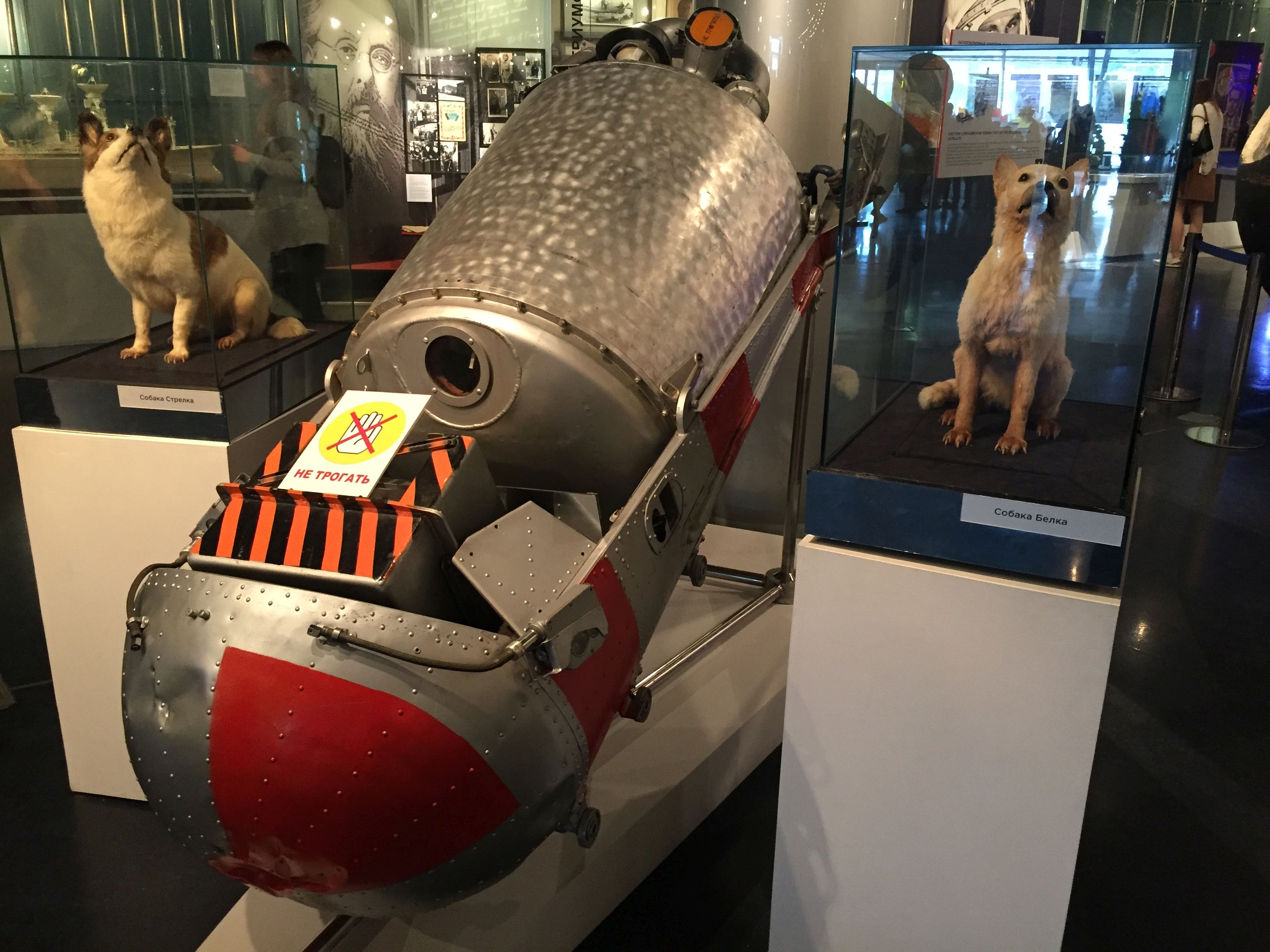 Поток – на страже здоровья на Земле и за ее пределами