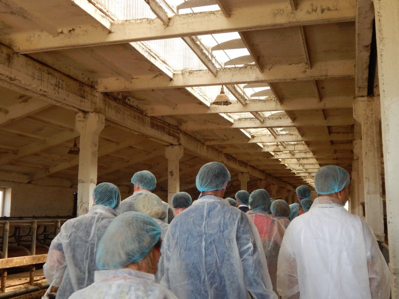 Поток Интер на Международной молочной неделе 2017