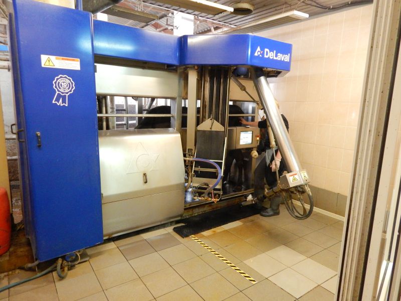 Поток Интер на Международной молочной неделе 2017