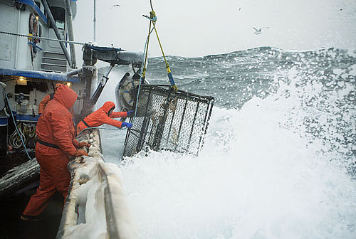 Американская компания выплатит $430 000 за утечку хладагента