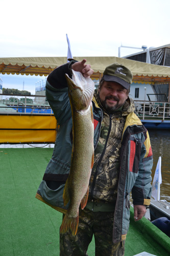 ����� ����: ������ ��������� Daichi �� ������ �����