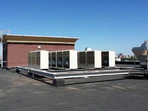 lg_ryabinovaya-2.jpg lg_ryabinovaya-2.jpg